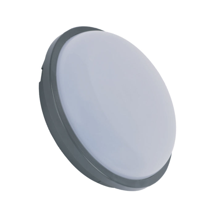 20W LED Surface Ceiling Light