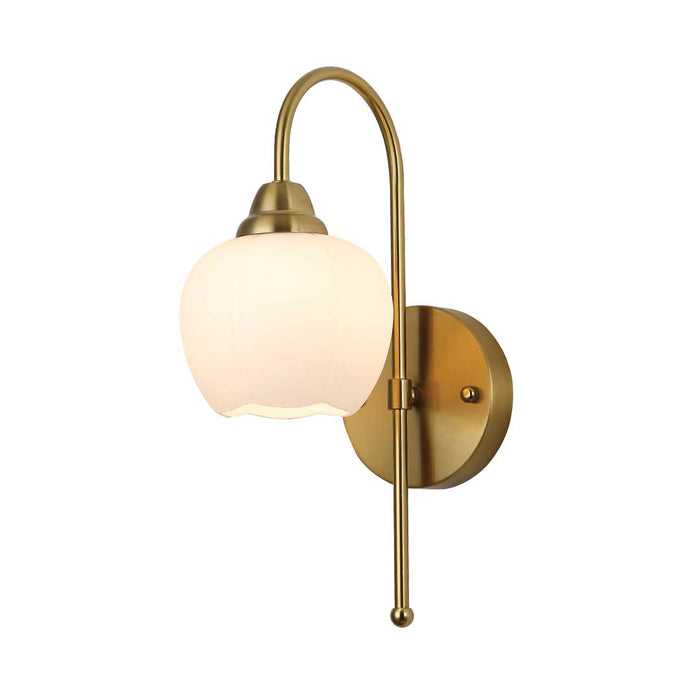 Elegant Wall Globe Lamp