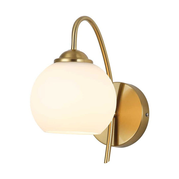 Elegant Globe Frosted Wall Light
