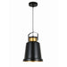 Black Modern Industrial Pendant - Tronic Kenya 