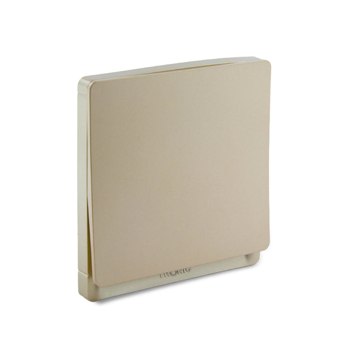 Gold 1-Gang 2-Way Switch