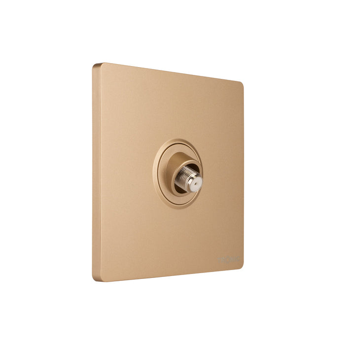 Gold - Satellite Socket