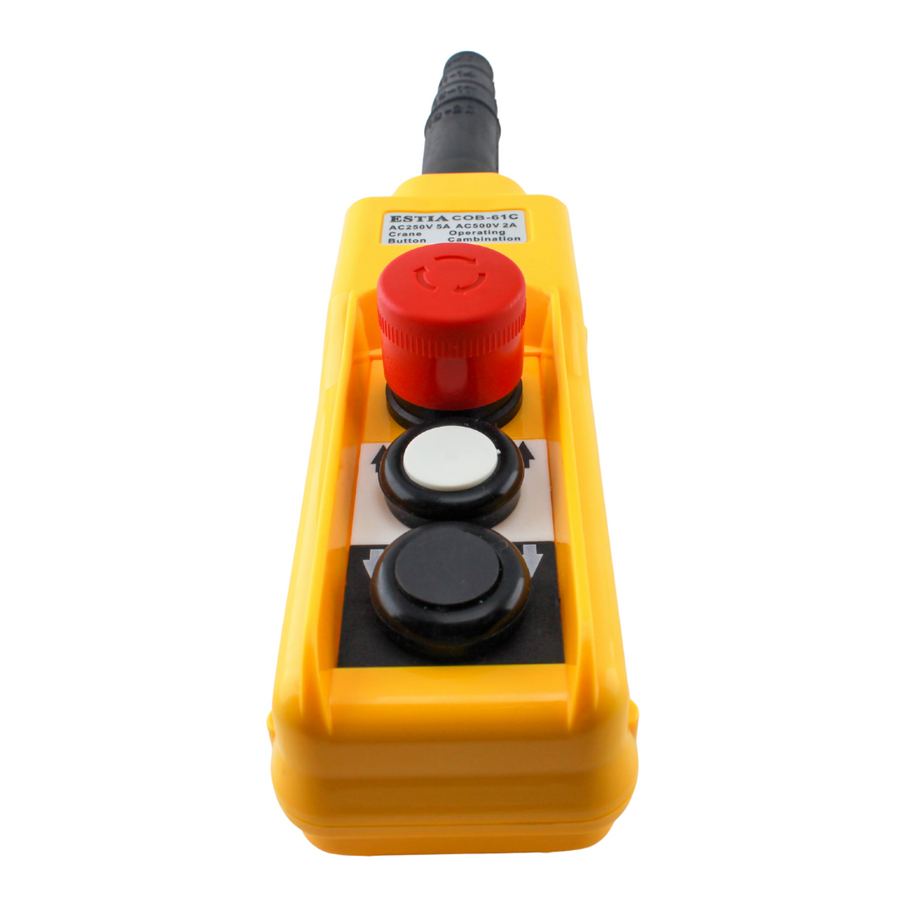 Crane Hoist Control Switch Tronic Tanzania