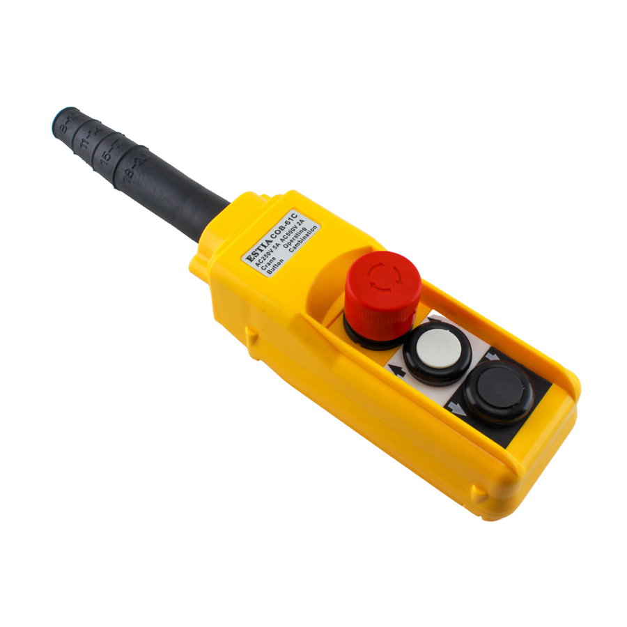 Crane Hoist Control Switch Tronic Tanzania