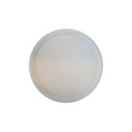 Round LED Surface Light 12 Watts