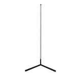 Floor Lamp with Remote