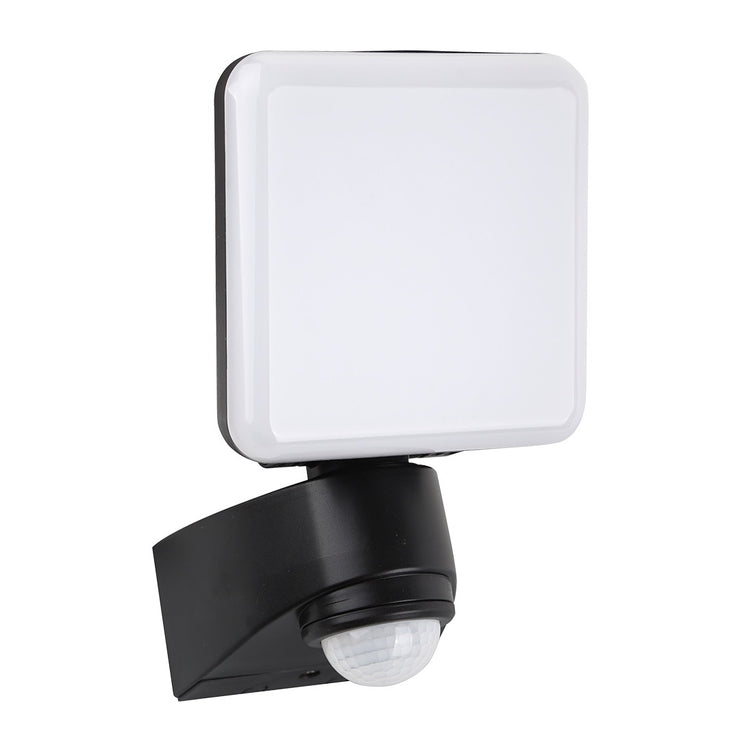 10 Watts Motion Sensor Floodlight