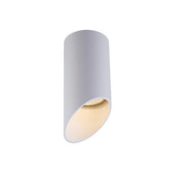 Cylindrical Oblique Cut Spotlight 130X55